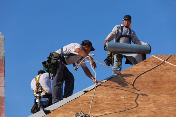 Best Roof Waterproofing Services  in Georgetown, IL