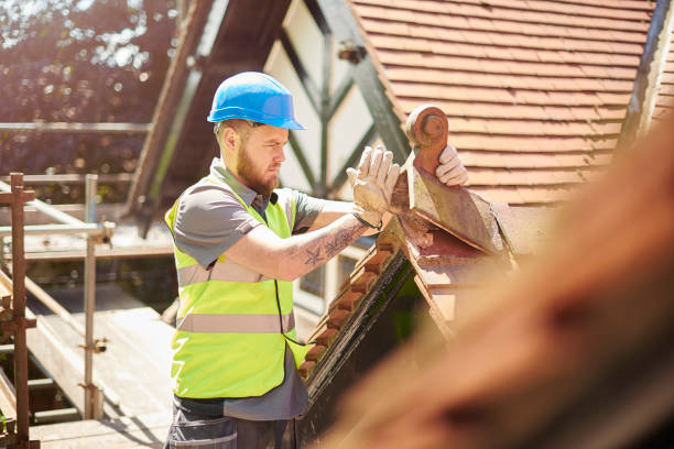 Best Roof Gutter Cleaning  in Georgetown, IL
